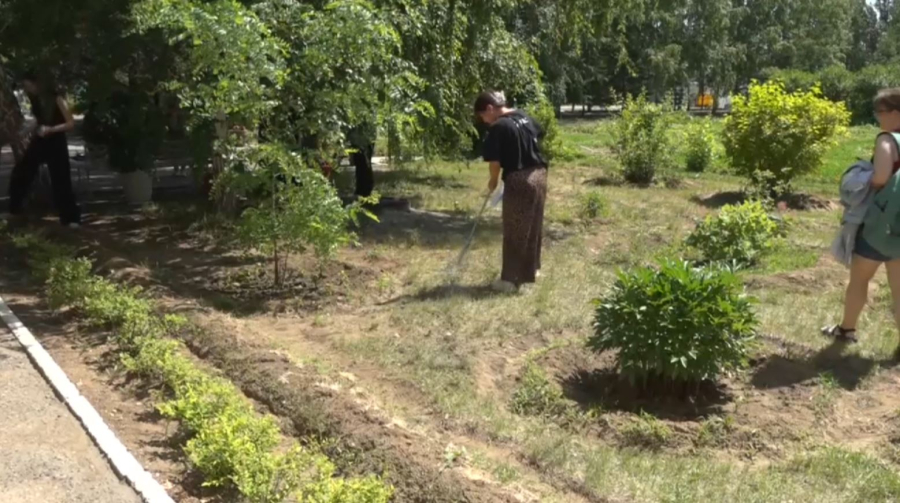 Волонтёры поддержали экологическую инициативу в Павлодаре