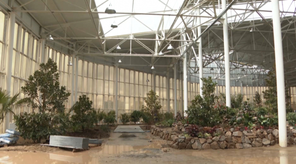 Түркістанда жылыжайы бар ерекше саябақ салынды