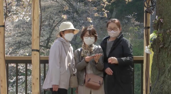 Население Японии рекордно сократилось