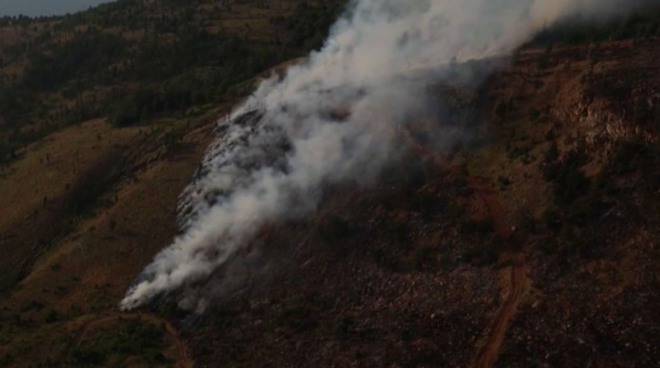 На Балканах спасателям не удается справиться с лесными пожарами