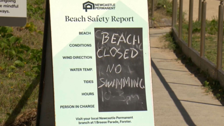 Австралияда акуланың шабуылынан әйел адам қаза тапты