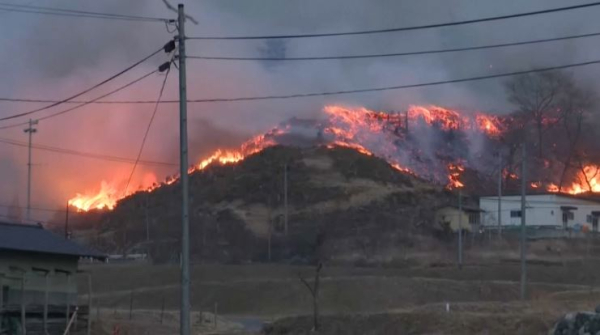 Лесной пожар в Японии: есть погибший