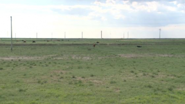 Атырау облысында 25 мың гектар жер телімі мемлекет меншігіне қайтарылды