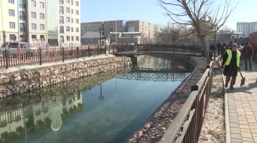 «Таза Қазақстан»: 1,5 млн саженцев посадили в Казахстане