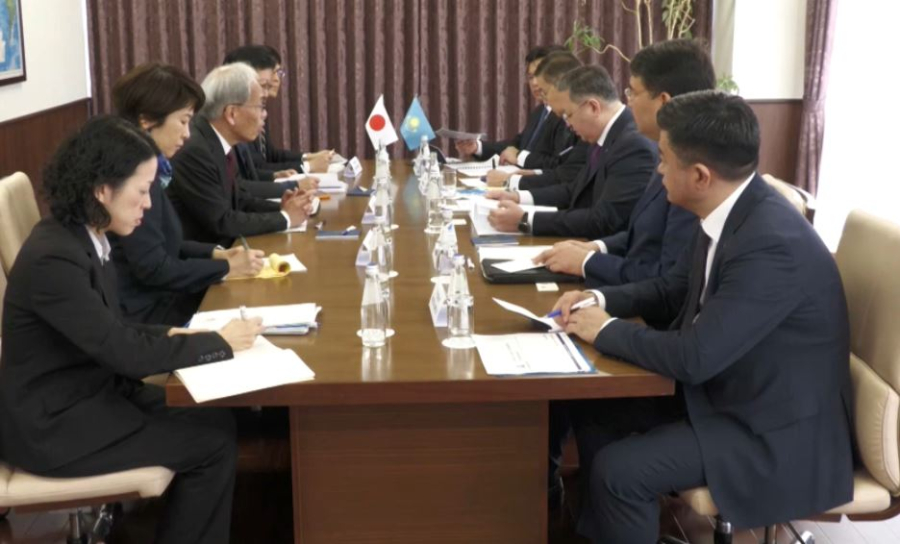 Предпринимателей Японии пригласили инвестировать в Казахстан