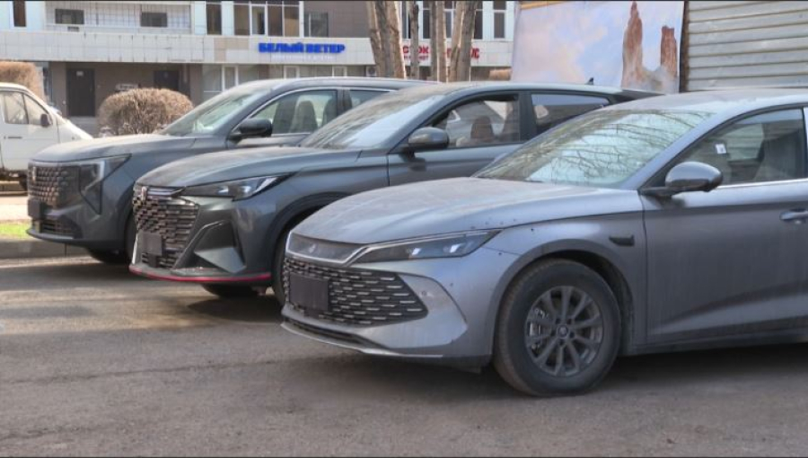 Заң және тәртіп: басты міндет – қоғамның сенімі. Сәуле Сапарәлиева