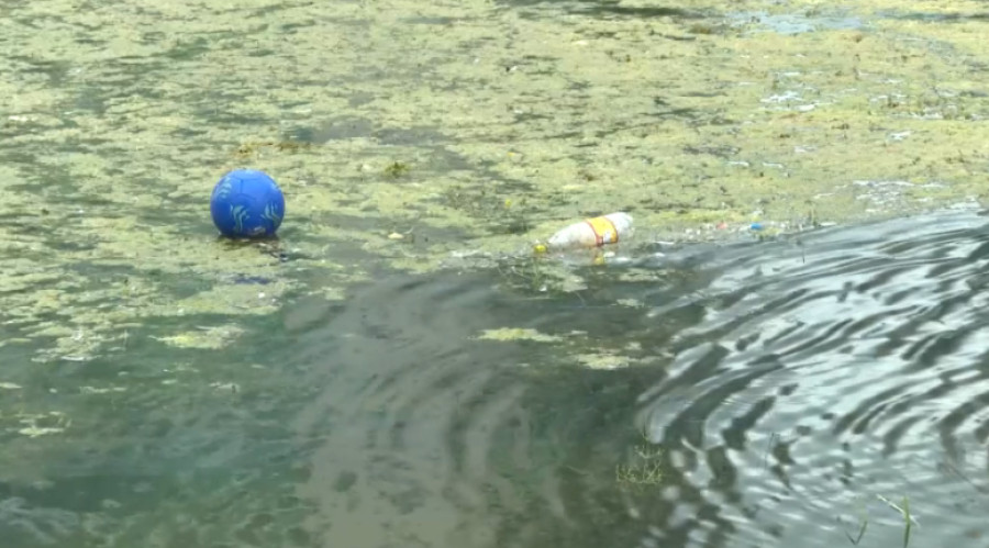 Сазды өзені шалшық суға айналып барады