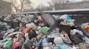 Морозы мешают вывозу ТБО: в мусоре утопают многоэтажки Петропавловска