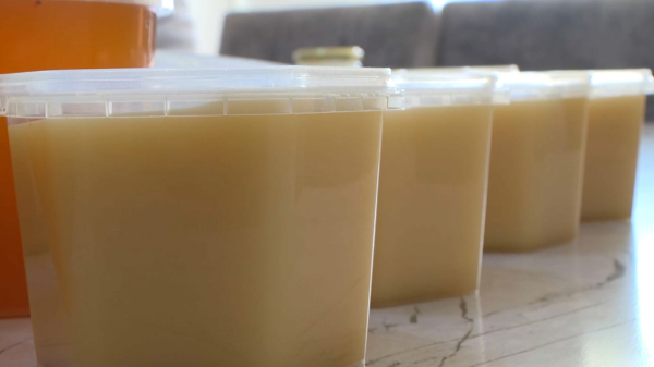 Қызылорданың балы Жапонияға экспортталады