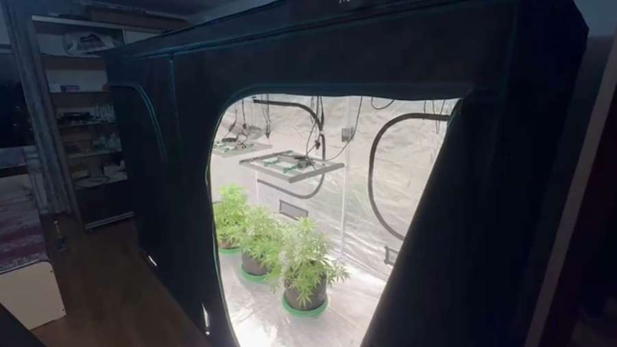 Нарколабораторию ликвидировали в квартире Алматы