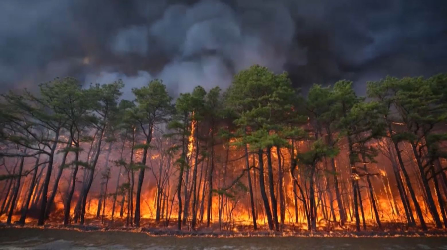 Лесной пожар в Нью-Джерси: огнём охвачено 5500 га леса