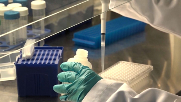 Қытайда коронавирустың жаңа түрі анықталды