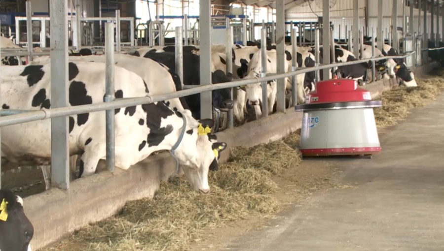 Агроөнеркәсіп өнімі 70 елге экспортталады