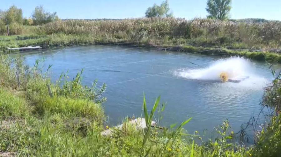 Абай облысында суқұзғындар көбейіп барады