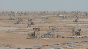 Поддержку зрелых нефтяных месторождений обсудили в Правительстве