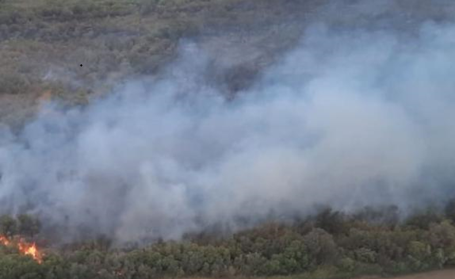 В нацпарке «Алтын-Эмель» локализовали пожар на площади 120 га