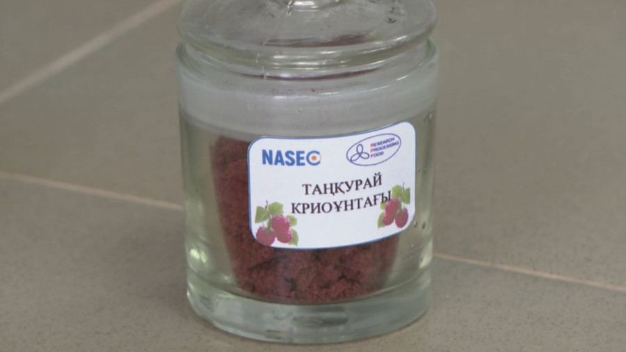 Қазақ ғалымдары көкөніске жұмсалатын ақшаны үнемдеу әдісін тапты