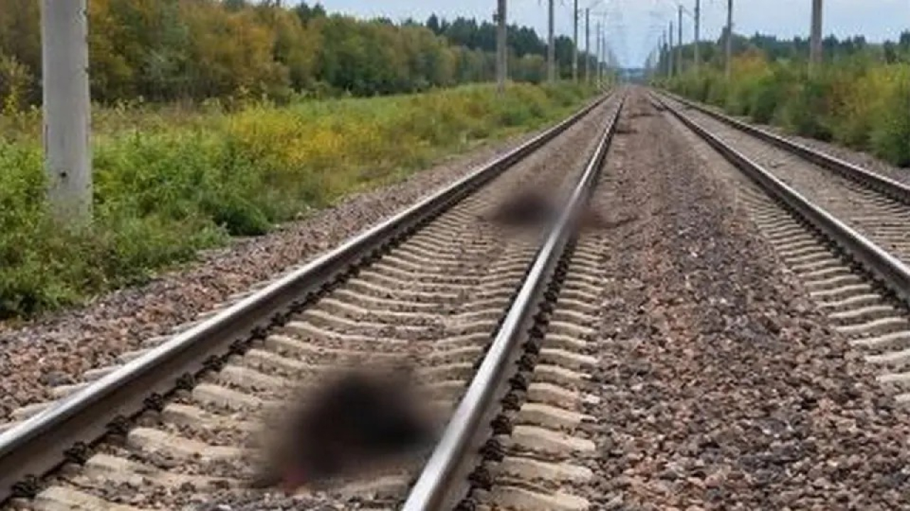 Ақмола облысында жолаушылар пойызы 13 бас малды қағып кетті