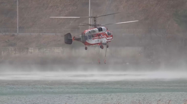 Количество лесных пожаров в Южной Корее уменьшилось на 80%