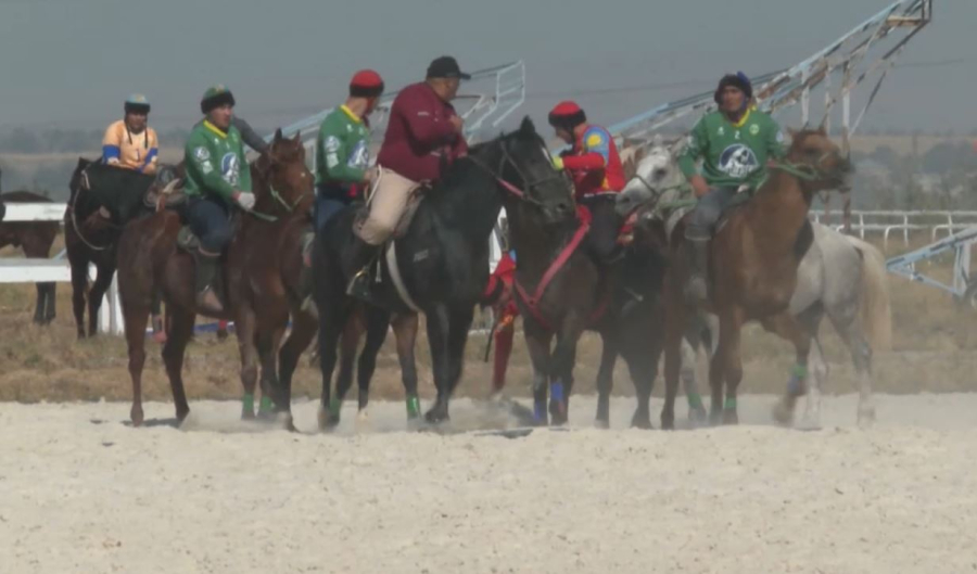 Көкпар аттарын дайындауда әлсізбіз