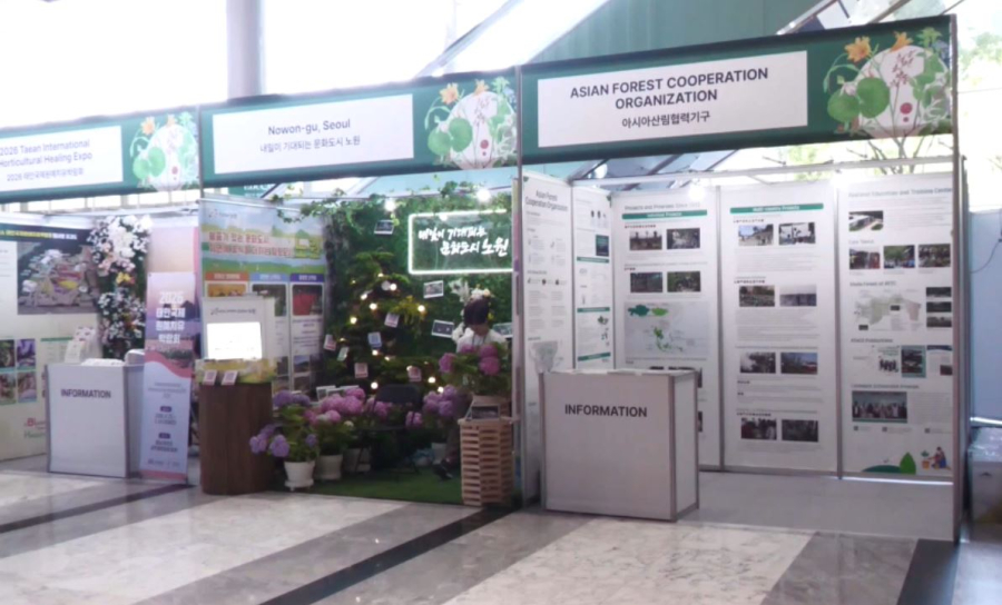 Қазақстан мен Корея ормандарды қалпына келтіру бойынша ынтымақтастықты күшейтеді