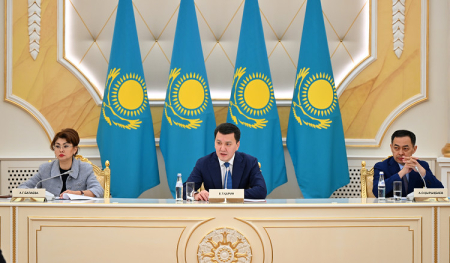 Вице-Президент ішкі саясат мәселелері жөніндегі республикалық кеңесте сөз сөйледі