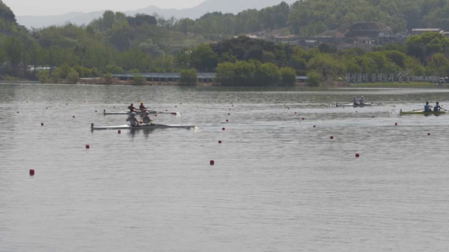 Азия кубогында қазақстандық есушілер 6 медаль еншіледі