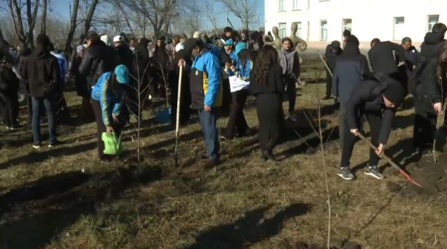 Молодёжь высадила деревья в Шортанды