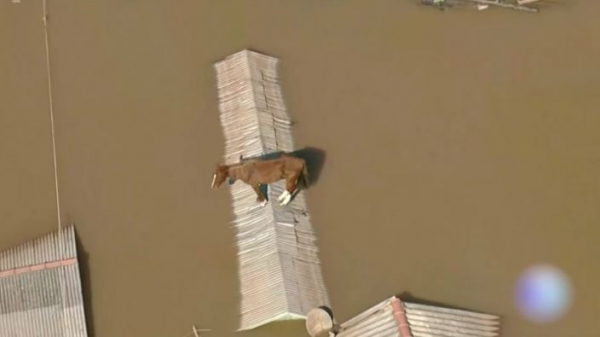 230 тыс. человек покинули свои дома из-за наводнений в Бразилии