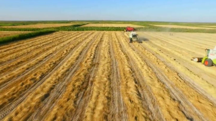 Президент ауыл шаруашылығы ғылымын дамытудың нақты жоспарын әзірлеуді тапсырды