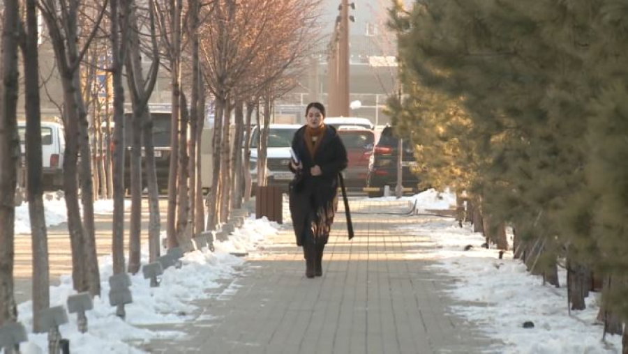 12 законопроектов разработают в 2026 году