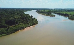 Экоактивисты пытаются спасти леса Амазонки