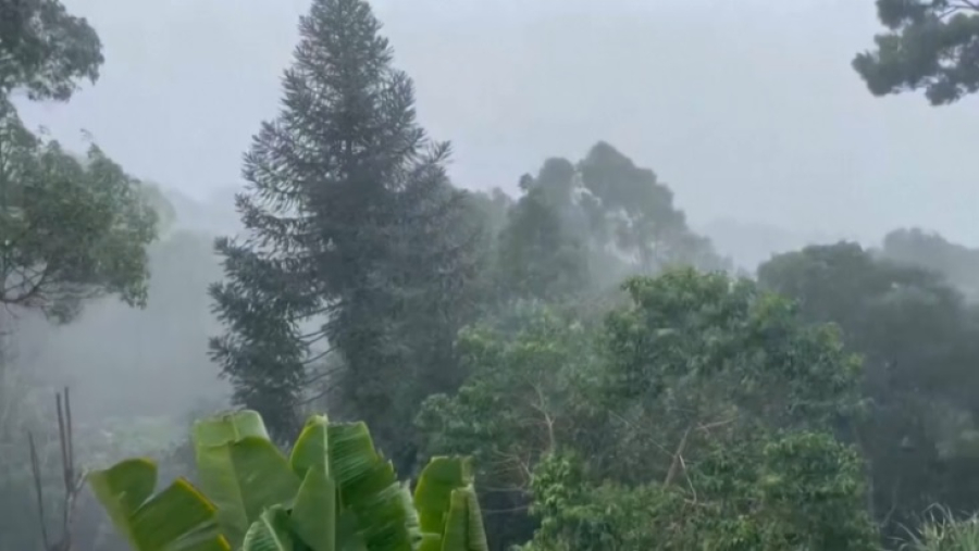 Из-за циклона «Альфред» отменены десятки авиарейсов в Австралии