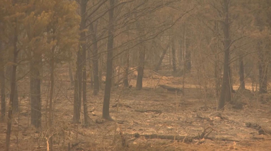 Канадада орман өрті ырық бермей тұр