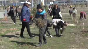 В Сатпаеве в ходе экоакции вывезли 90 тонн мусора