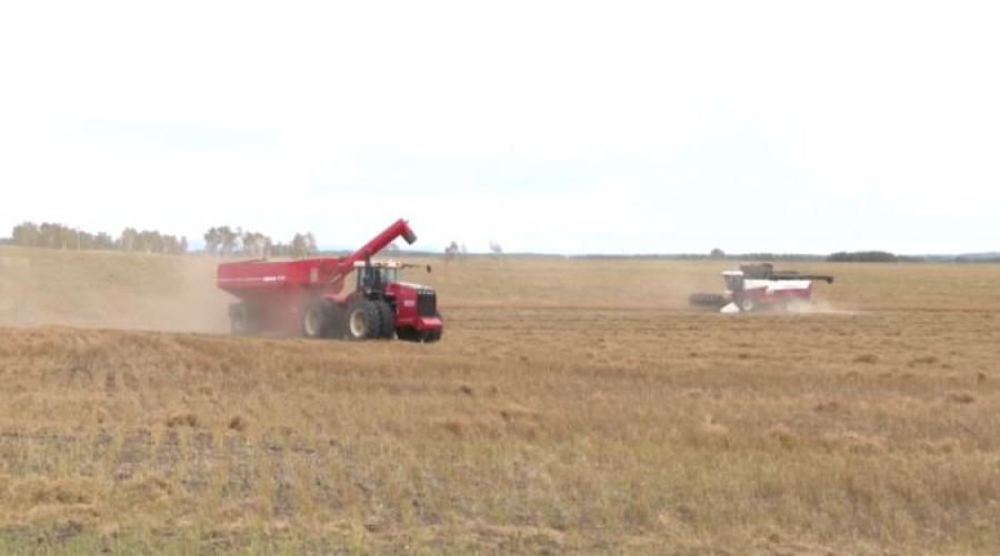 AIF 2025: новые горизонты для сотрудничества и инвестиций