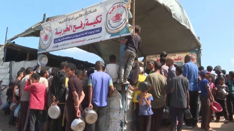 Газада жарты айда 798 адам қаза тапты