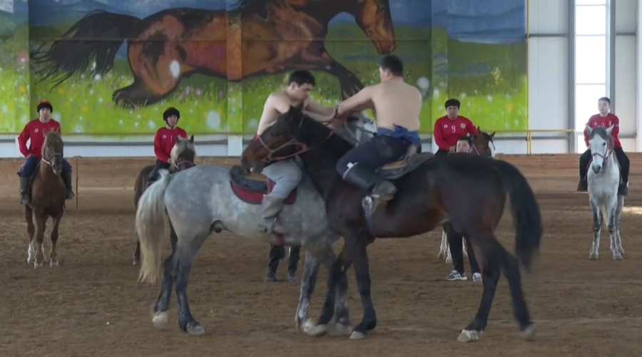 Көкпар тартып, жамбы атқан...