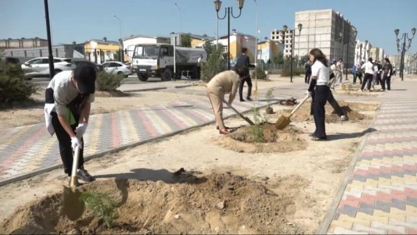 Актауских школьников научили правильно сажать деревья