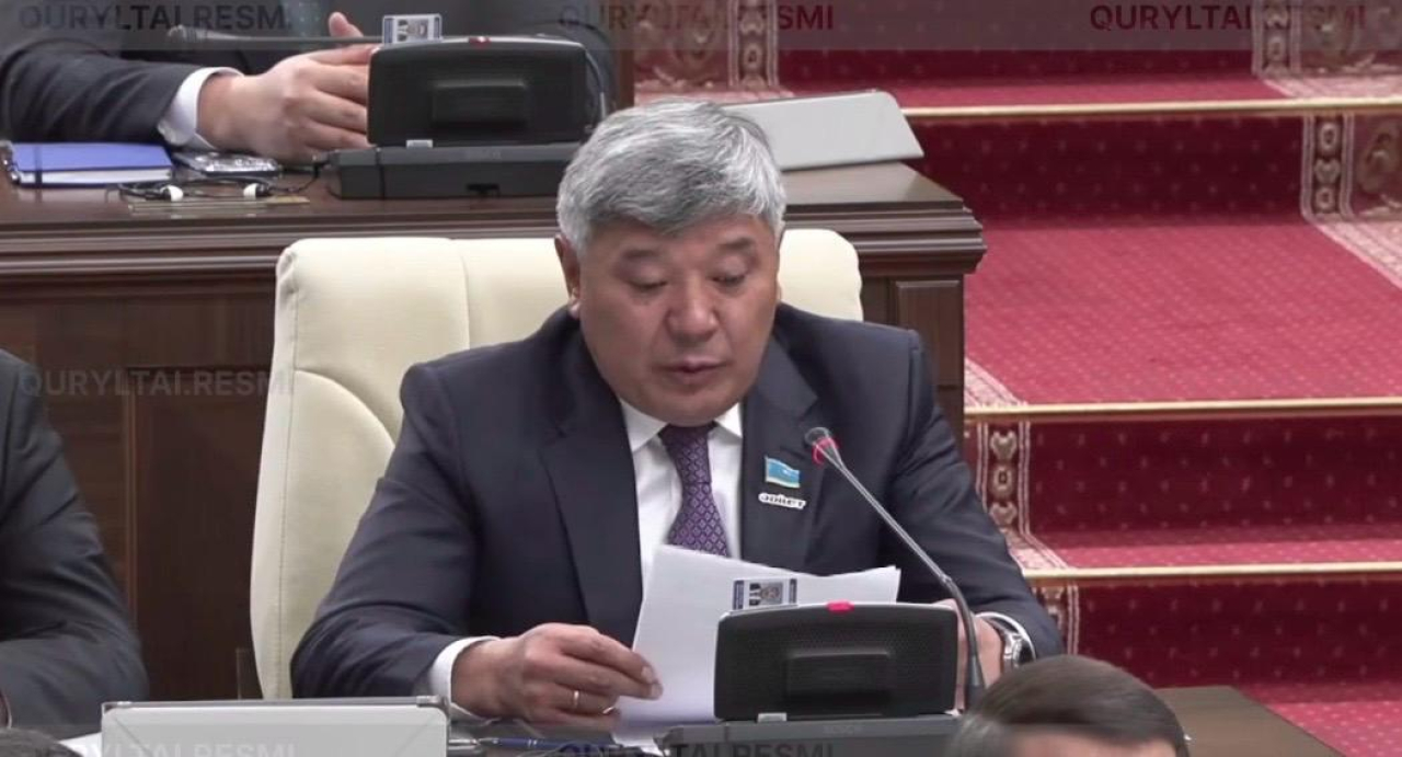 Қазақстанда 16 жасқа дейінгі балаларға әлеуметтік желіге тіркелуге тыйым салу ұсынылды