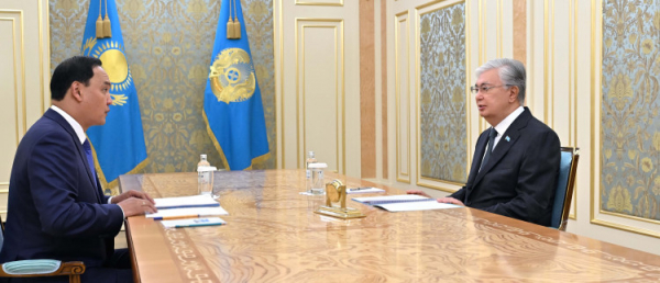 Глава государства принял акима Жамбылской области