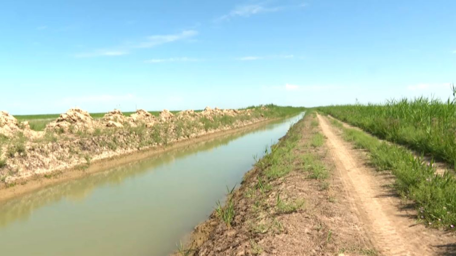 Қызылорда облысында шаруалар суды рұқсатсыз пайдаланған