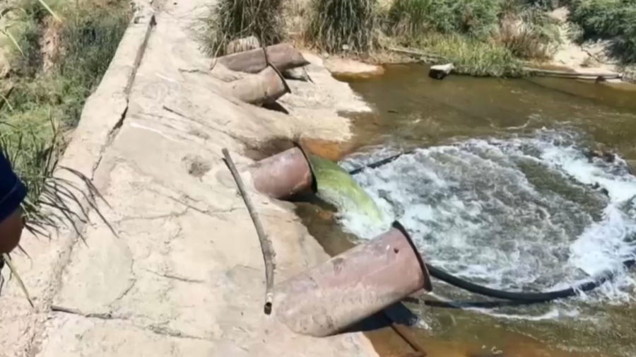 Түркістан облысында ағын суды заңсыз пайдаланғандар анықталды