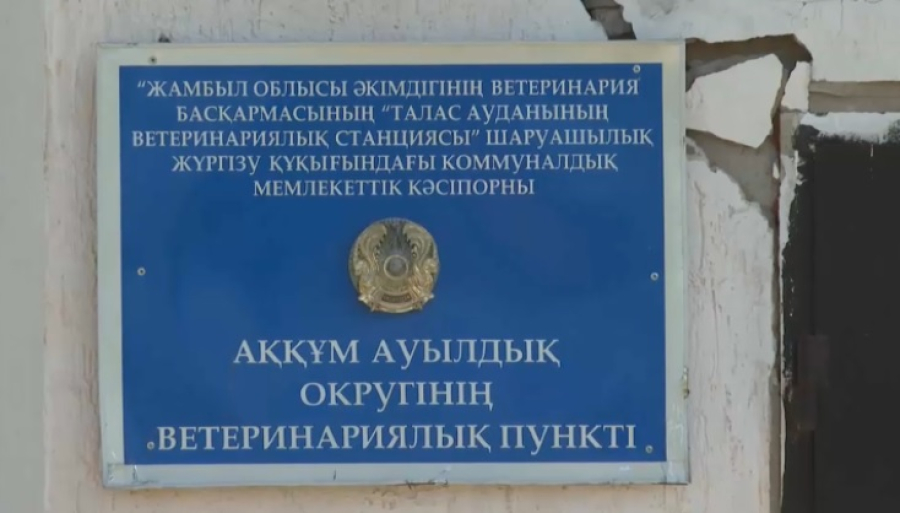 Ветеринары в Аккуме работают в аварийном здании