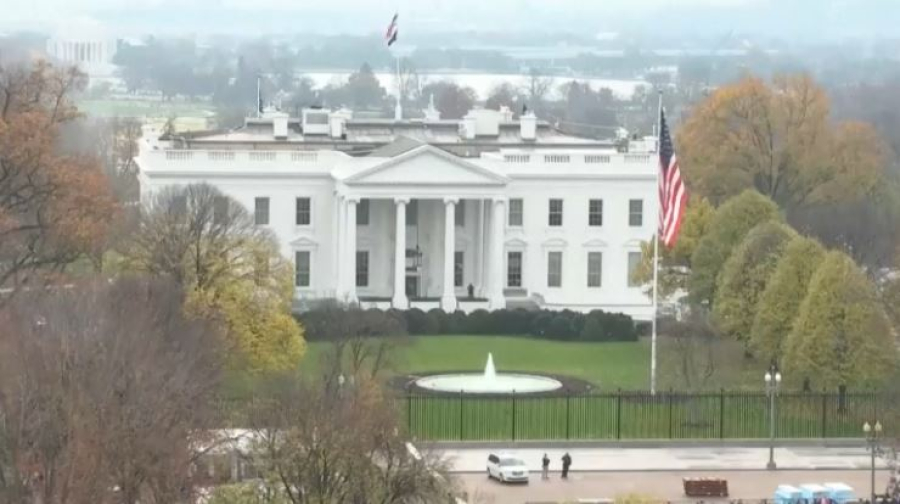 СМИ: Уиткофф встретится с Зеленским в Берлине