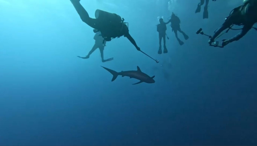 «Ашық теңіз» туралы шарт ресми түрде күшіне енеді