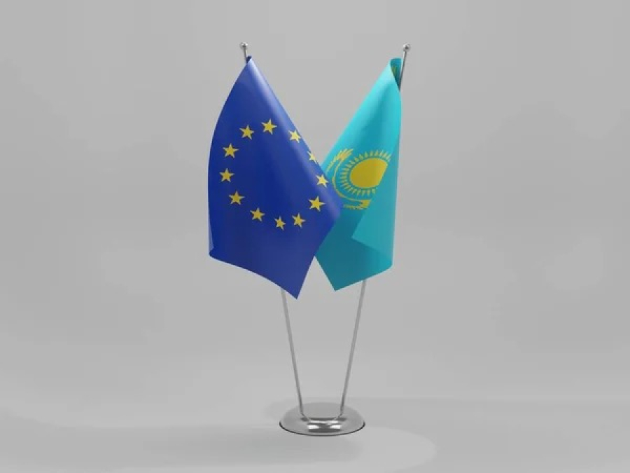 В МИД РК отреагировали на сообщения о центрах для мигрантов за пределами ЕС