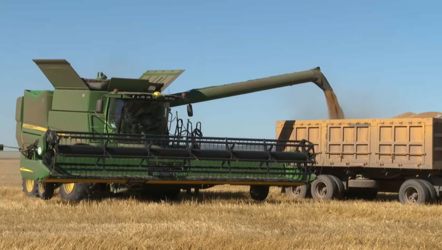 Ақмола облысында егін орағы басталды