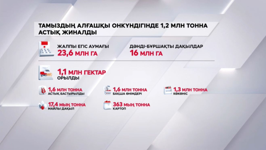 Орақ науқаны: 12 өңірде астық жиналып жатыр