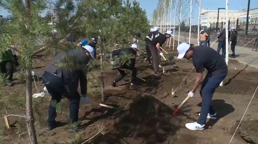 Мемлекеттік кеңесші Ерлан Қарин «Таза Қазақстан» акциясына қатысты